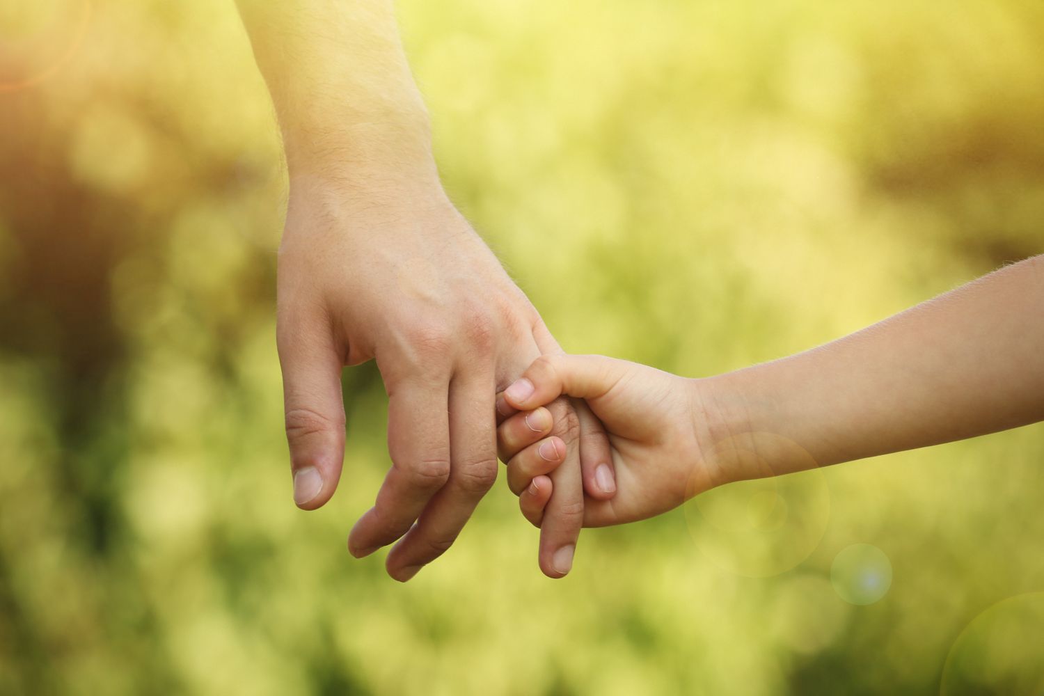 An older hand and a younger hand clasped together outdoors